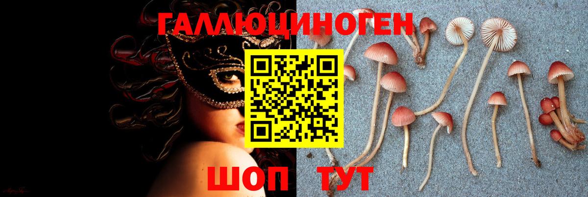 Галлюциногенные грибы MAGIC MUSHROOMS  Галлюциногенные грибы мухоморы  Калач-на-Дону  Вход с VPN 